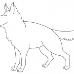 Funny German Shepherd