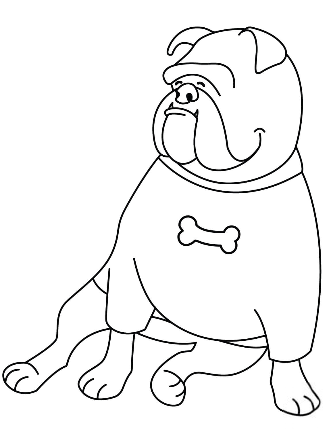 Bulldog Wearing T-Shirt