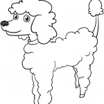Cartoon Poodle