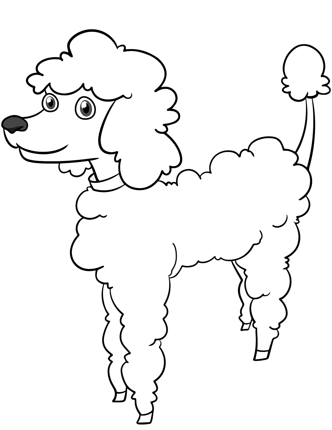 Cartoon Poodle