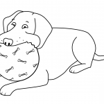 Funny Labrador Retriever Playing Ball