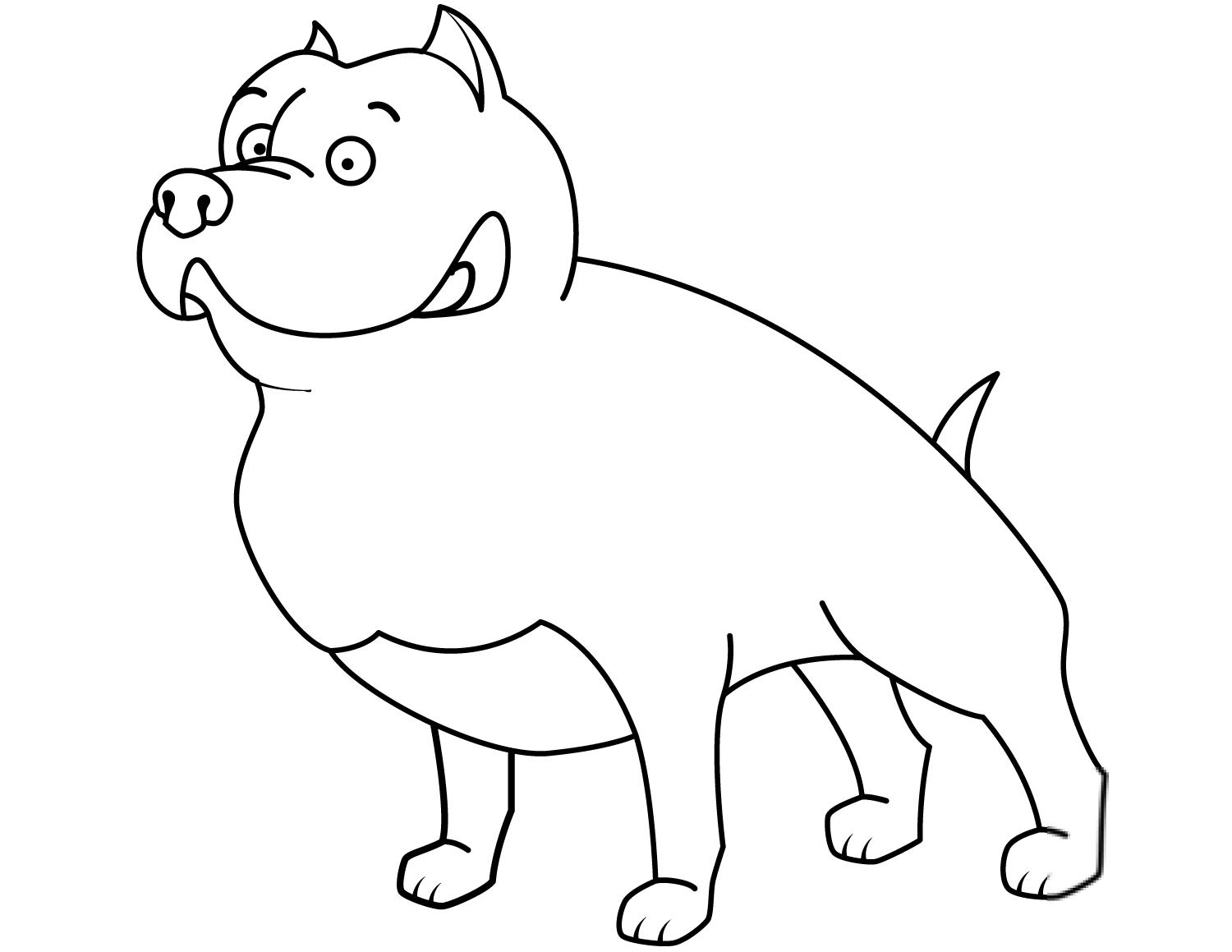 Funny Staffordshire Terrier