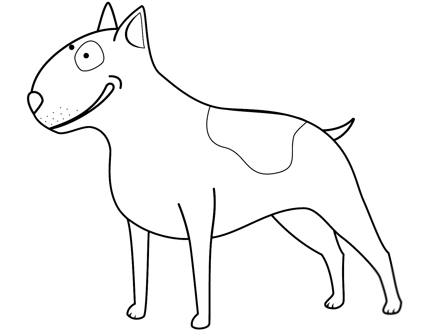 Funny Bull Terrier