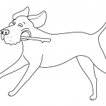 Funny Labrador Retriever Running...