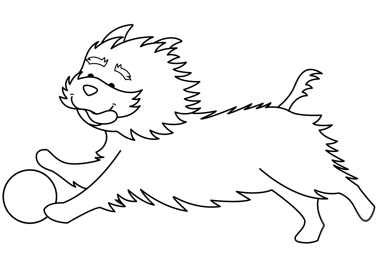 Funny Yorkshire Terrier Playing Ball