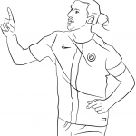 Zlatan Ibrahimovic