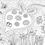 Ryba drętwokształtna