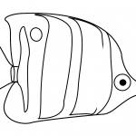 Pomakanta z dużym ogonem