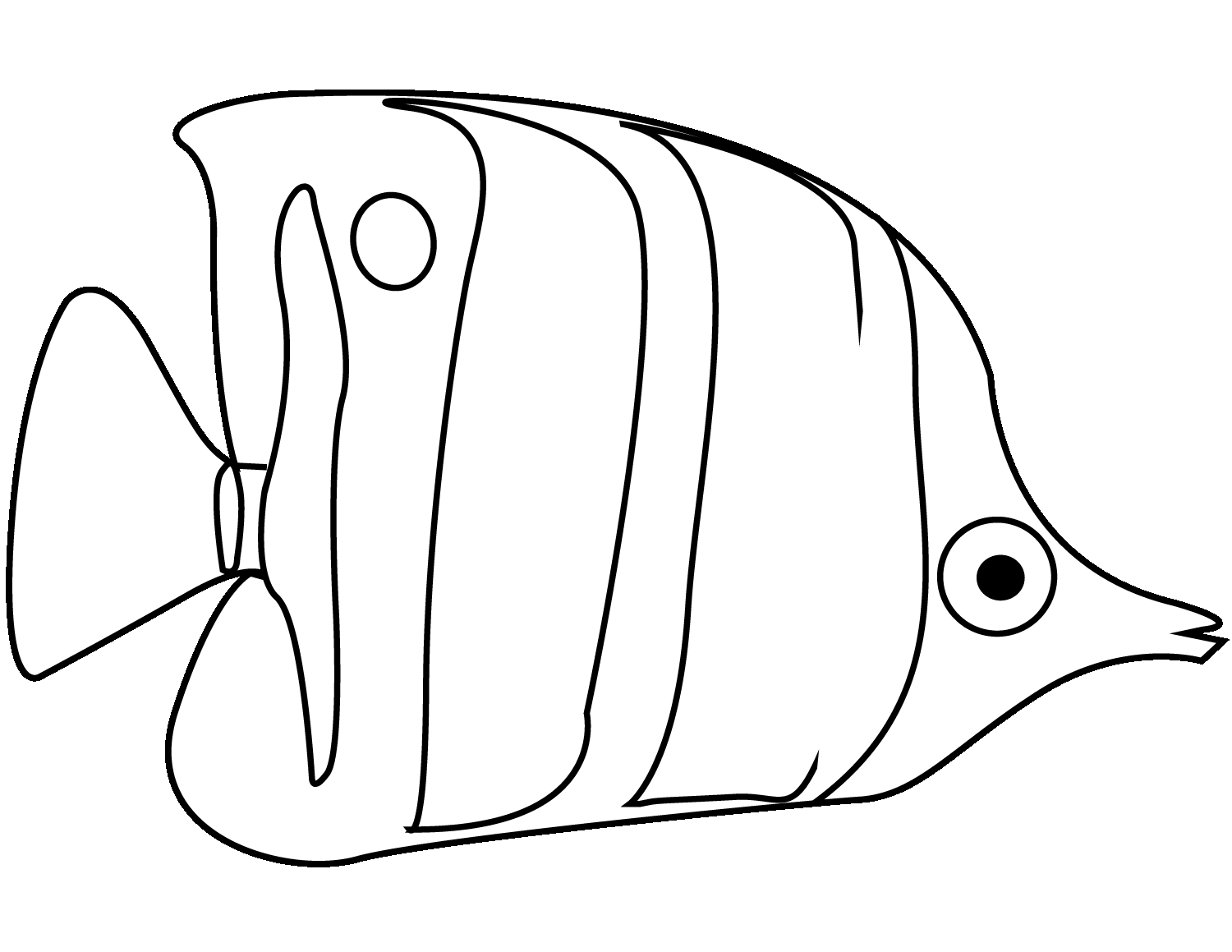 Pomakanta z dużym ogonem