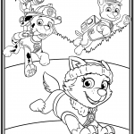 Everest, Marshall and Chase