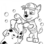 Paw Patrol Rocky and Marshall