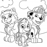 Everest, Marshall and Skye