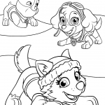 Everest Plays with Skye and Rubble