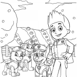 Rocky, Marshall, Chase and Ryder