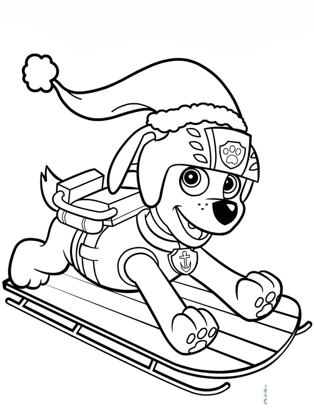Zuma on Sled