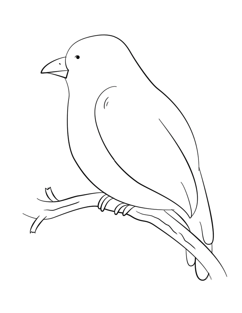 Bird Perching on a Tree Branch