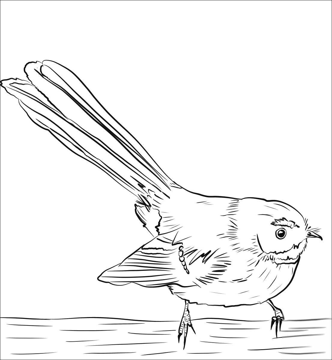 Wachlarzówka posępna