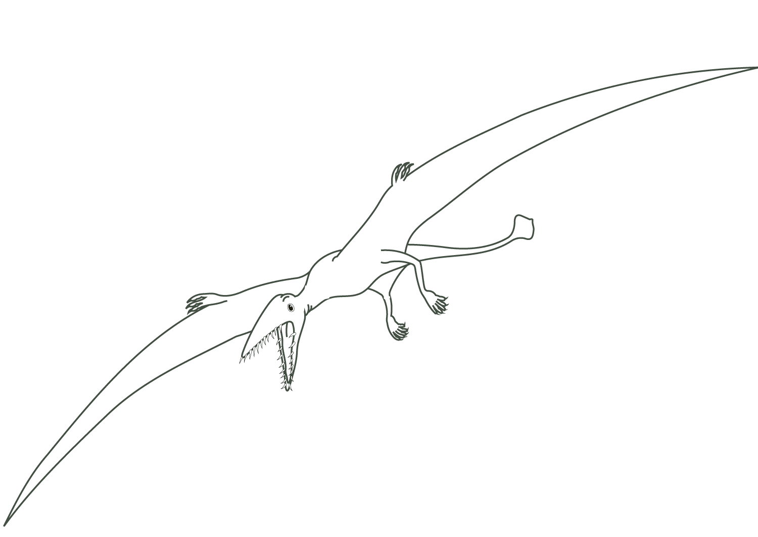 Pterodaktyl
