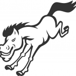 Bronco Horse Jumping