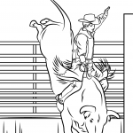 Bull Riding Rodeo