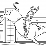 Cowboy Riding a Bull