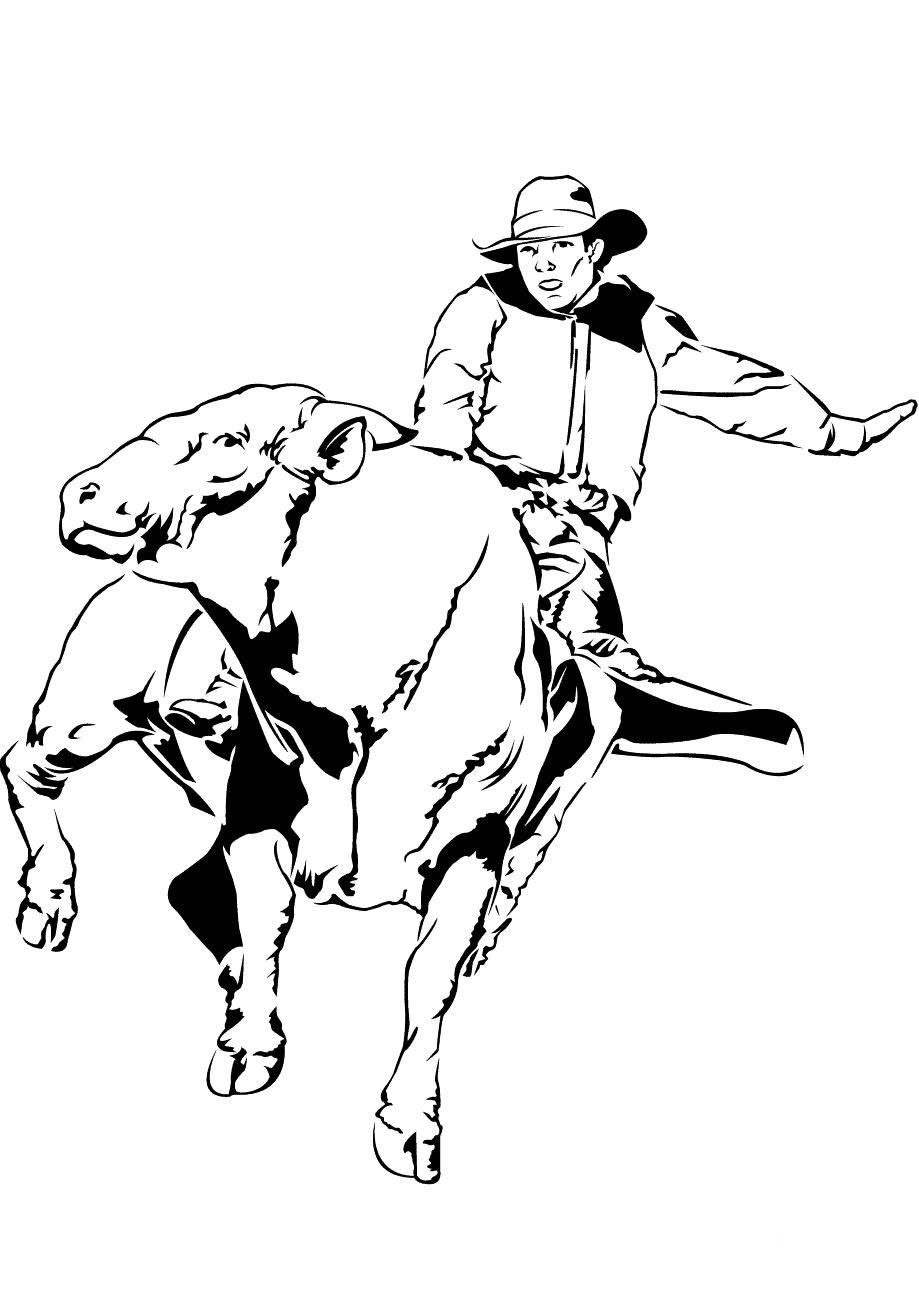 Bull Rider