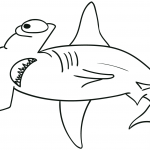 Zarys ryby młot
