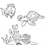Coral Reef Fish and Sea Turtle
