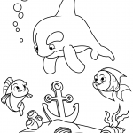 Sea Animals Found Lost Anchor