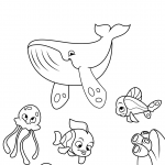 Whale, Jellyfish and Coral Reef Fish