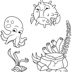 Octopus and Pufferfish