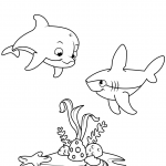 Cute Dolphin and Shark