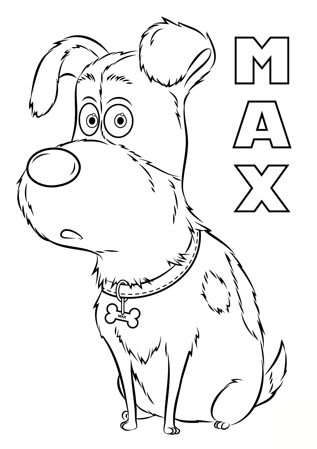 Max from the Secret Life of Pets