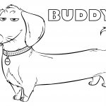 Buddy from the Secret Life of Pets