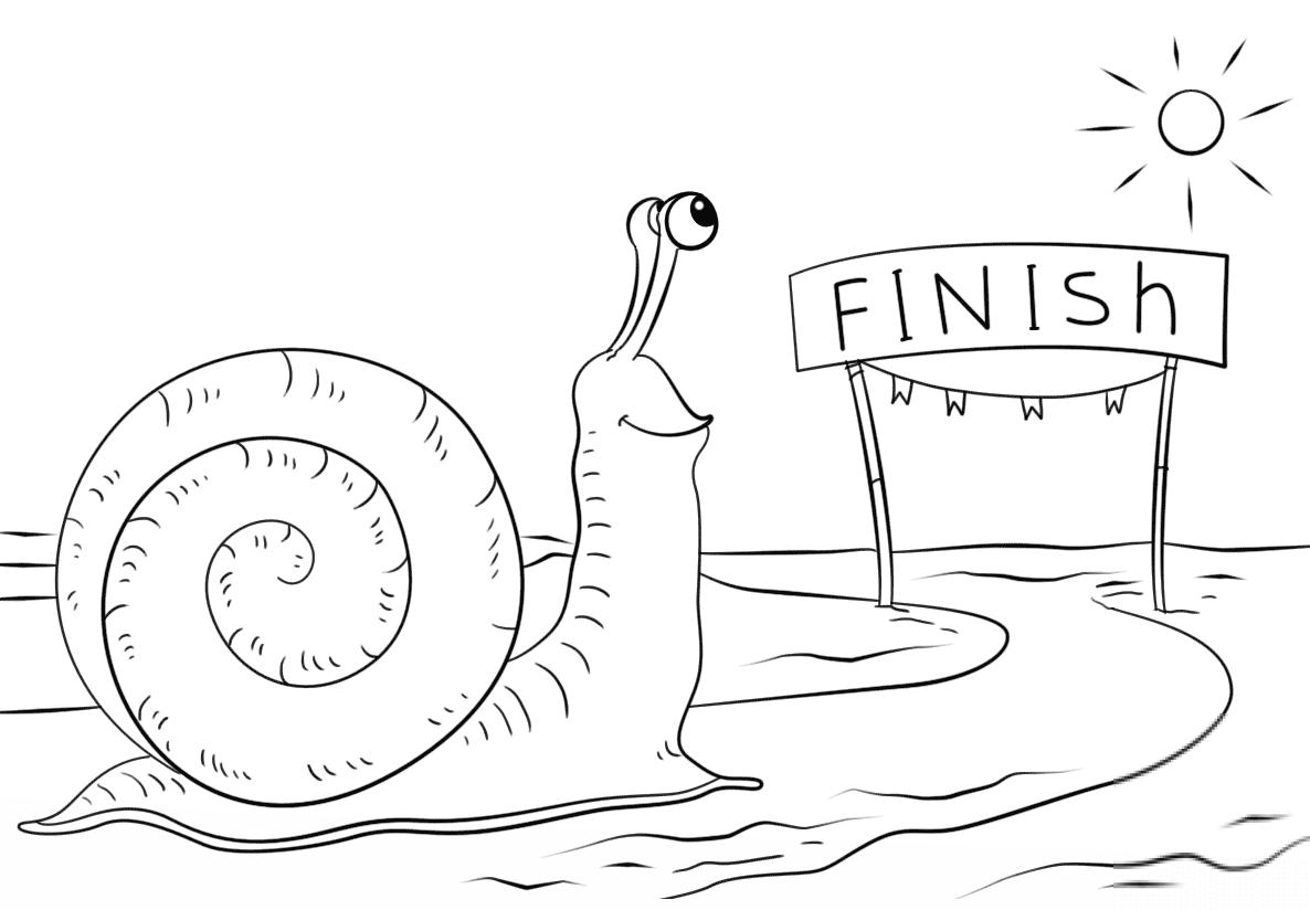 Snail Reaching Finish Line