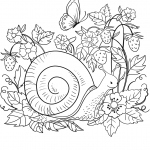 Snail