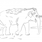 Uroczy słoń indyjski