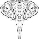 Elephant Head
