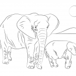 Rodzina słoni afrykańskich