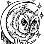 Owl in Crescent Moon