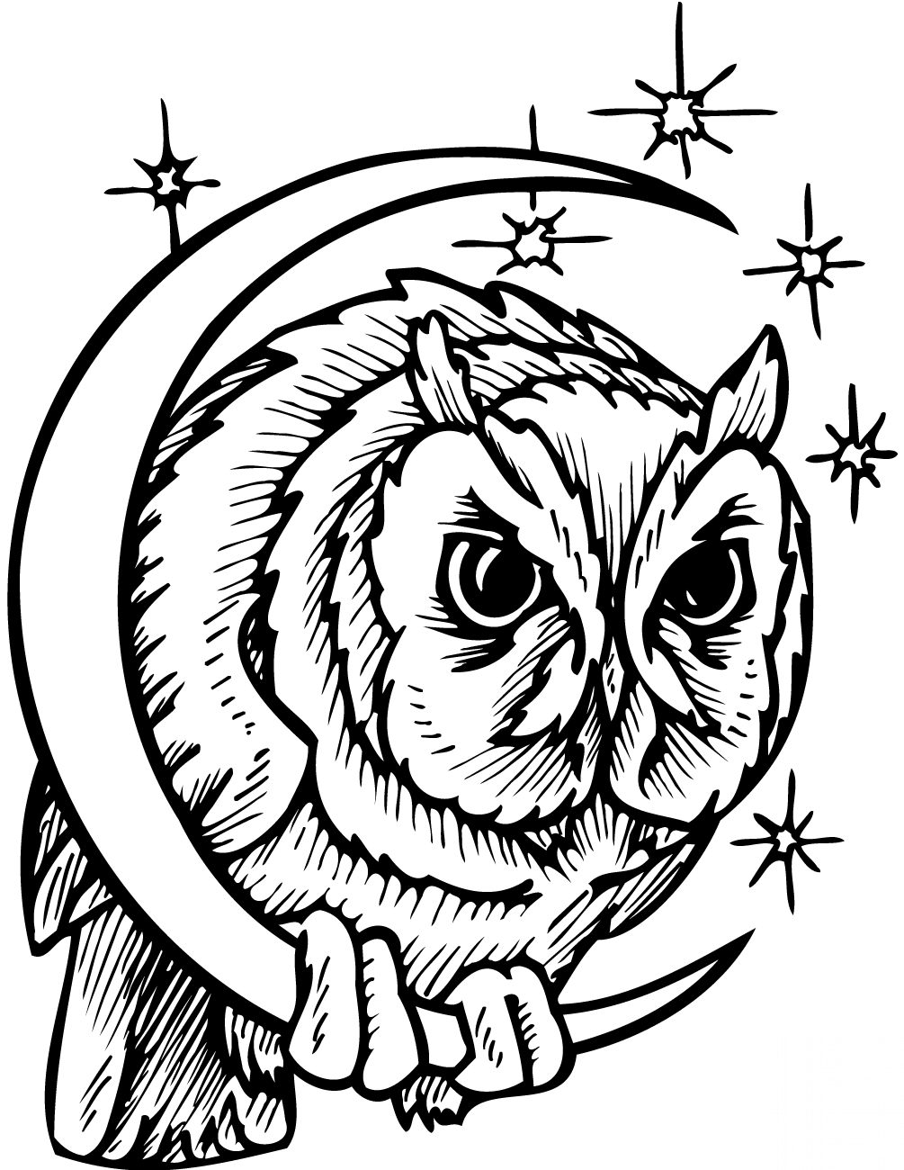 Owl in Crescent Moon