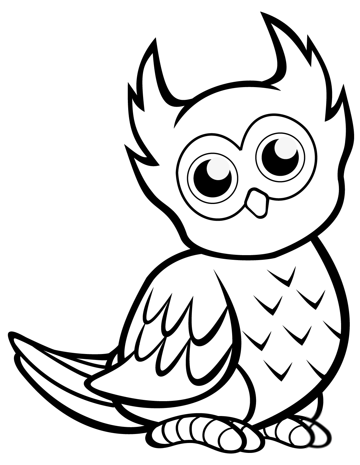 Cute Owl