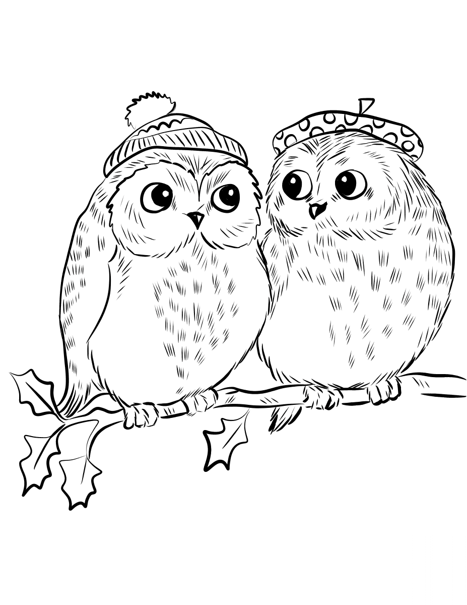 Couple of Cute Owls