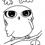 Zabawna mała sówka