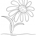 Cartoon Daisy Flower