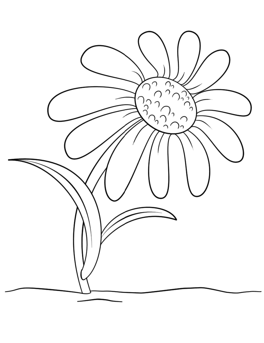Cartoon Daisy Flower