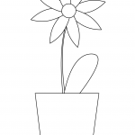 Flower in a Pot