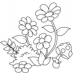 Forest Flowers and Fly Agaric