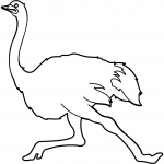 Running Ostrich