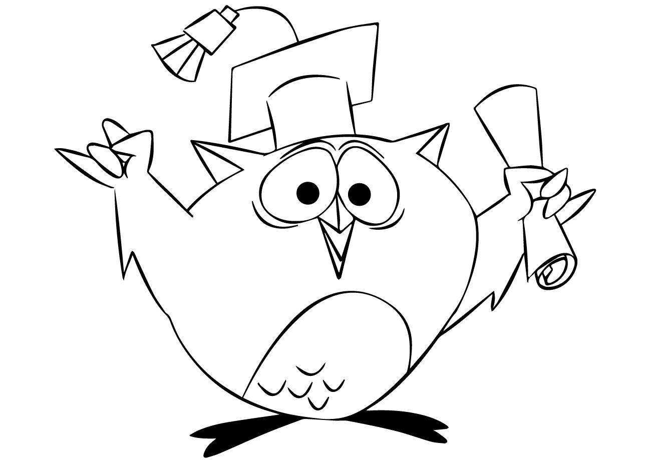 Cartoon Owl Graduating